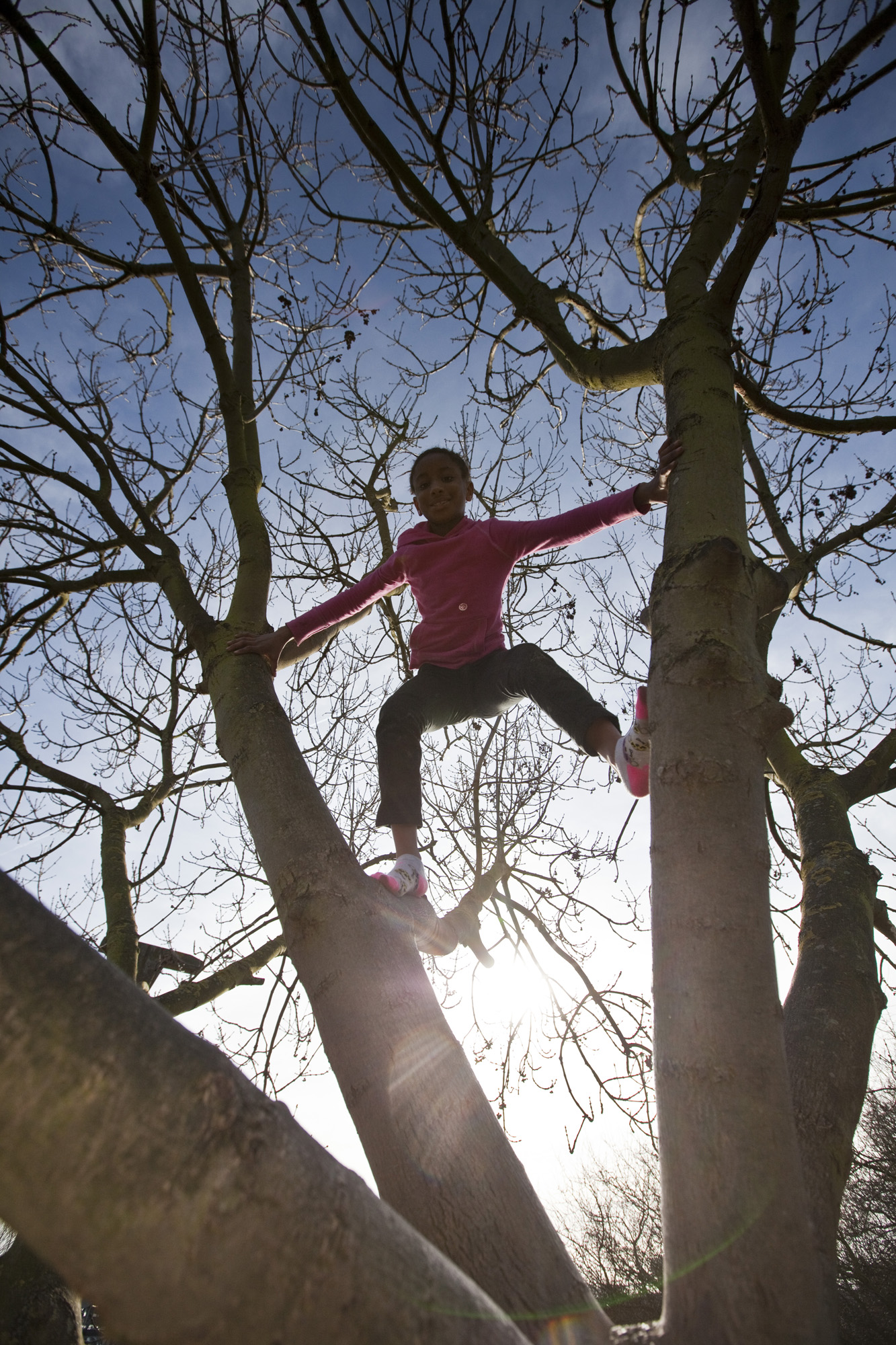 Can you climb a tree. Climb a Tree. Kids Climbing Tree. Climb a Tree for Kids.